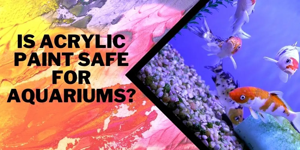 Is Acrylic Paint Safe For Aquariums