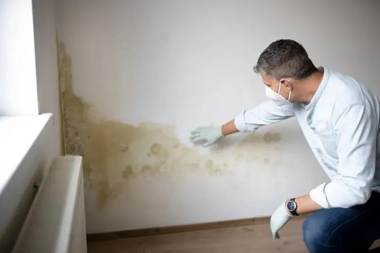 Safety Considerations When Combating Mold